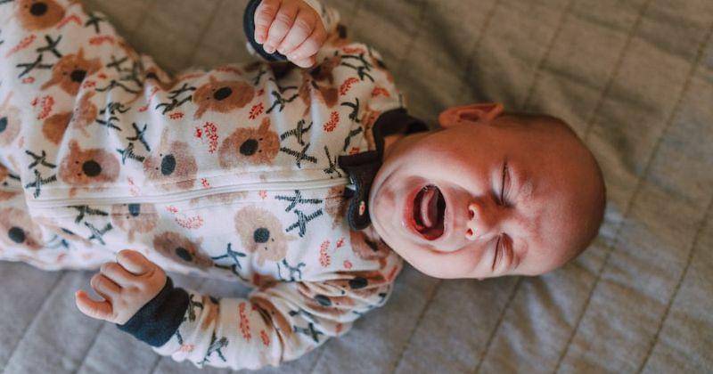 Pexels/RDNE Stock project